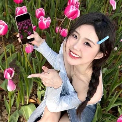 迎风伫立的狮子 海报